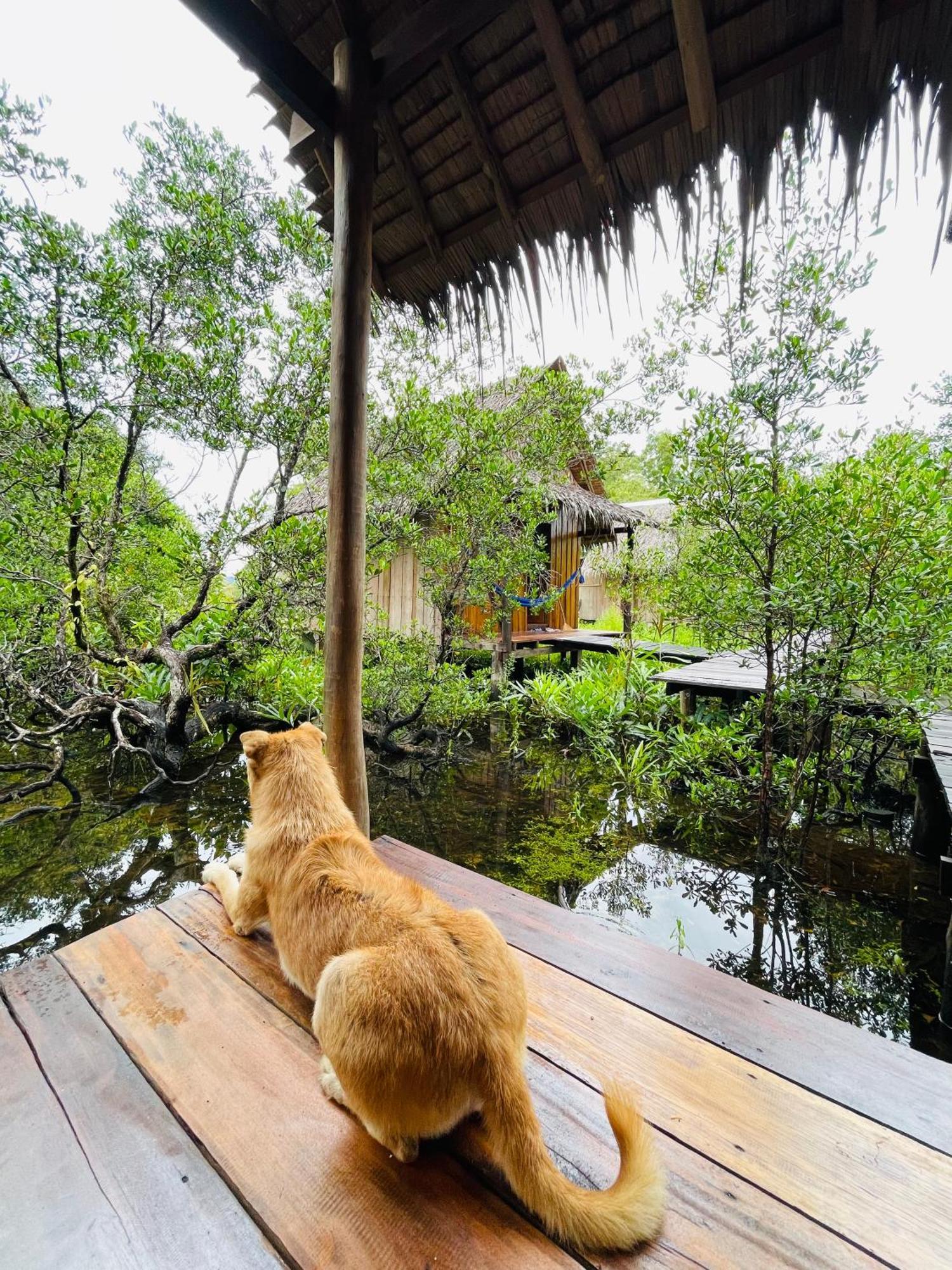 Lily'S Riverhouse Prek Svay Village Exteriér fotografie