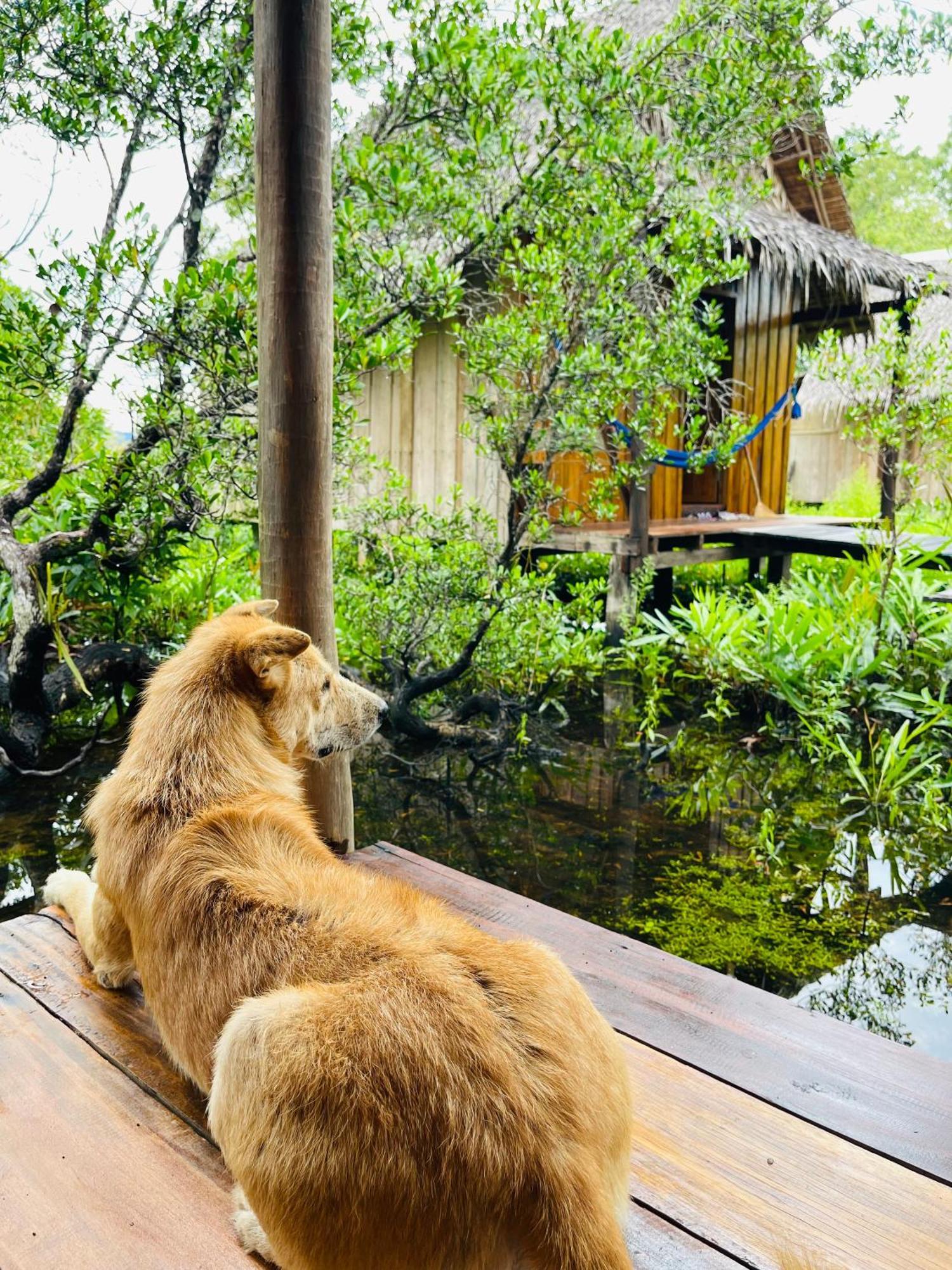 Lily'S Riverhouse Prek Svay Village Exteriér fotografie
